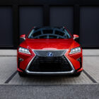 Lexus celopolep - predok