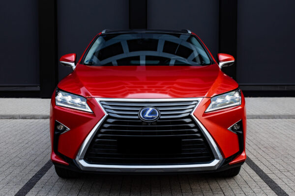 Lexus celopolep - predok