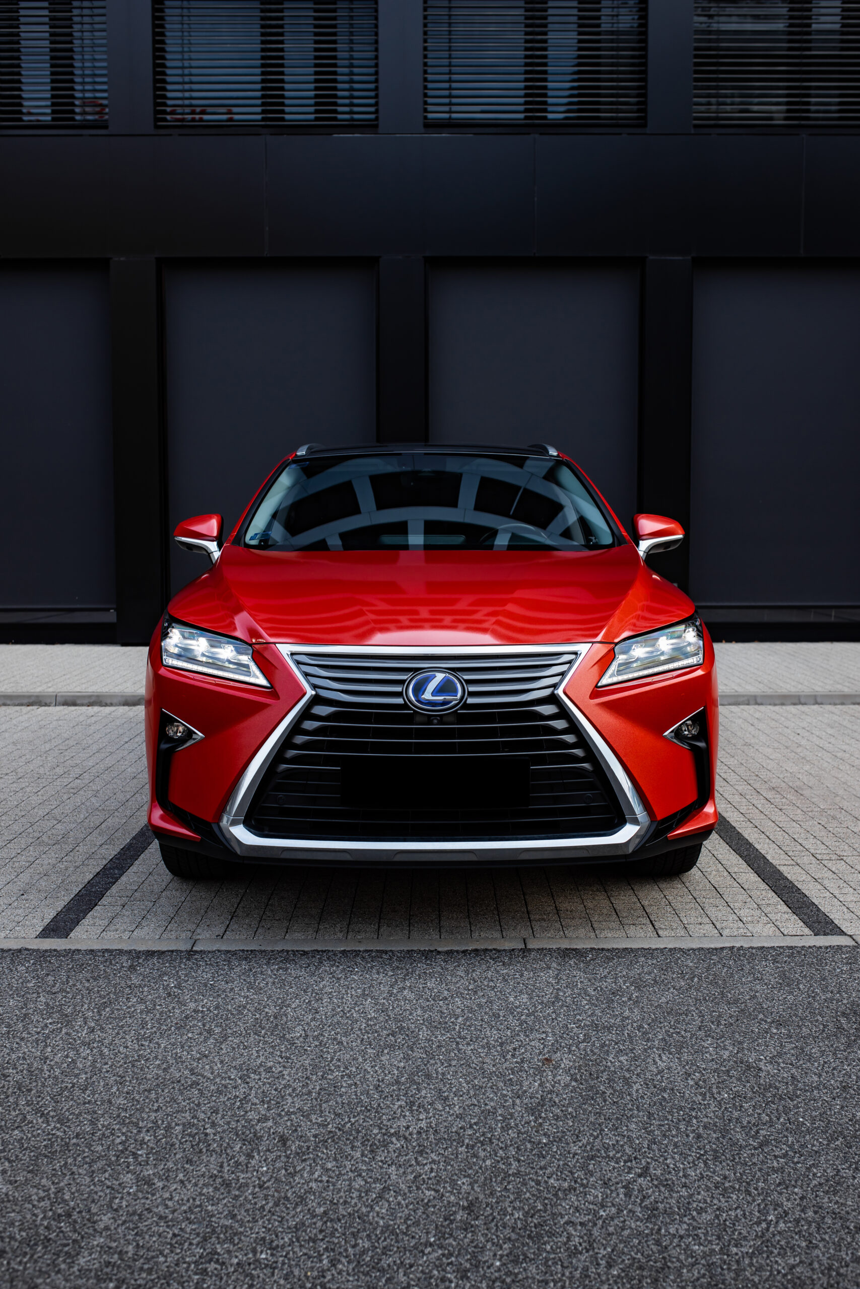 Lexus celopolep - predok