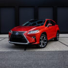 Lexus celopolep